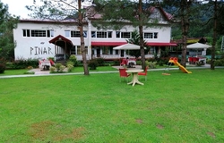 Arhavi Pınar Kır Evi