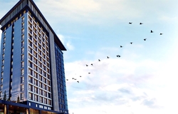 Wish More Hotel İstanbul