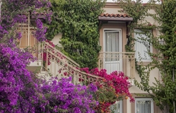 Moonshine Hotel & Suites