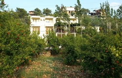 Teacher Pension & Patara Kaş