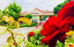 İhlas Armutlu Tatil Köyü