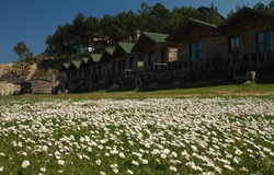 Woodyville Tree Houses and Cowboy City