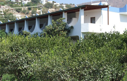 Bal Mahmut Aslı Motel