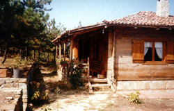 Salıcı Evi