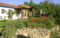The Gallipoli Houses