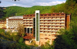Oylat Kaplıcaları Çağlayan Otel