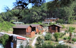 Havasu Park Bungalows