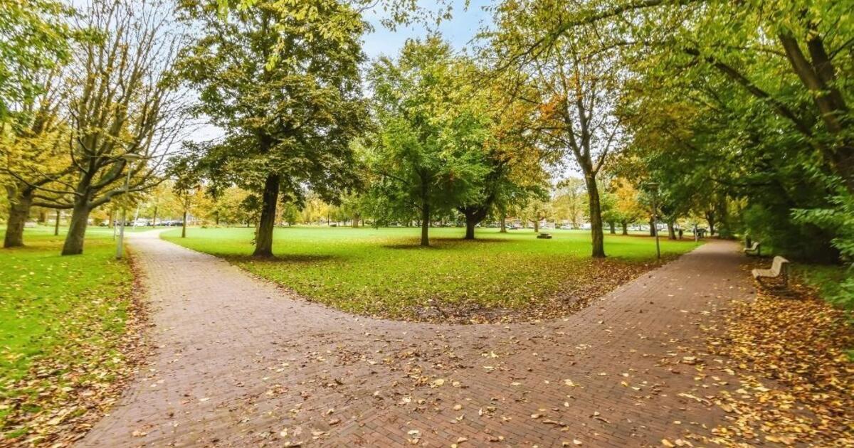 Otağtepe Fatih Korusu Nerede, Nasıl Gidilir, Giriş Ücreti Ne Kadar?