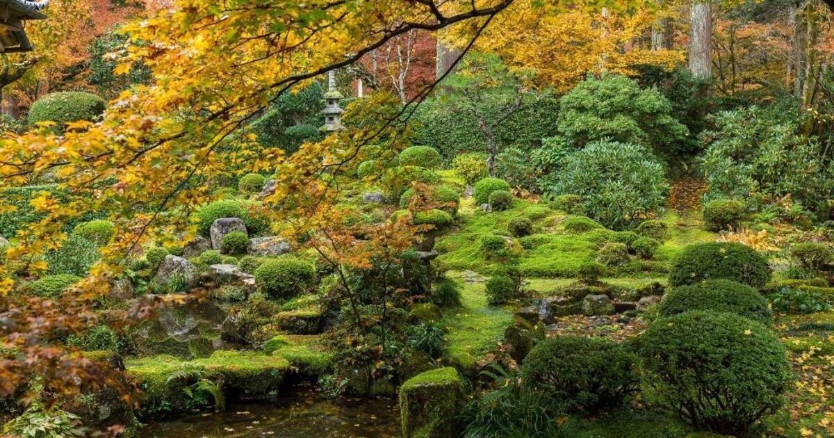 Türkiye'nin En Büyük Japon Bahçesi: Konya Kyoto Japon Bahçesi