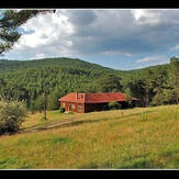 Çatacık Ormanları