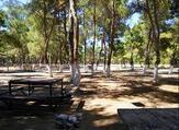 Sarnıç Piknik Alanı