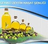 Geyikli Zeytin Hasat Festivali