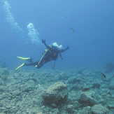 Saroz Dalış Merkezi