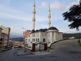Çamlı Tepe Camii Gemlik
