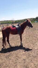 Canbazlar At Çiftliği'nde At Biniciliği