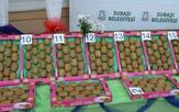 Yalova-Subaşı Kivi Festivali