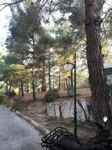 Gümüldür Tabiat Parkı’nda Doğa Yürüyüşleri