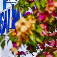 Genel Görünüm Galerisi