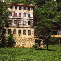 Genel Görünüm Galerisi