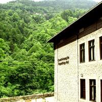 Genel Görünüm Galerisi