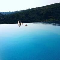 Genel Görünüm Galerisi