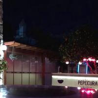 Havuz & Plaj Galerisi