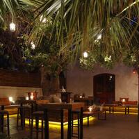 Müzik & Eğlence Galerisi