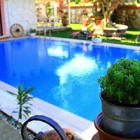 Havuz & Plaj Galerisi