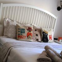 Oda Özellikleri Galerisi