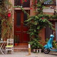 Genel Görünüm Galerisi