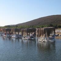 Havuz & Plaj Galerisi