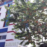 Genel Görünüm Galerisi