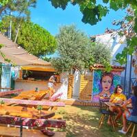 Genel Görünüm Galerisi