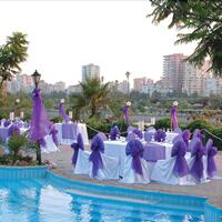 Toplantı ve Organizasyon Galerisi