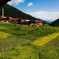 Genel Görünüm Galerisi