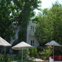 Genel Görünüm Galerisi