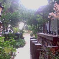 Müzik & Eğlence Galerisi