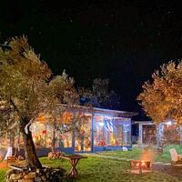 Oda Özellikleri Galerisi