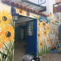 Genel Görünüm Galerisi