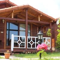 Genel Görünüm Galerisi