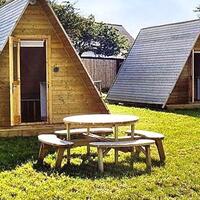 Oda Özellikleri Galerisi