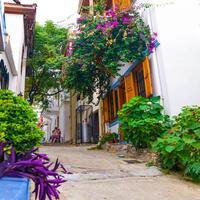 Oda Özellikleri Galerisi