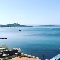 Oda Özellikleri Galerisi