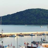 Genel Görünüm Galerisi