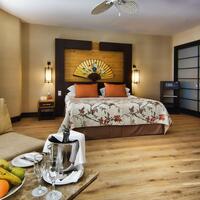 Oda Özellikleri Galerisi