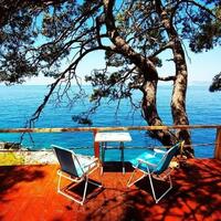 Genel Görünüm Galerisi