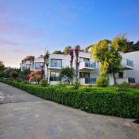 Genel Görünüm Galerisi