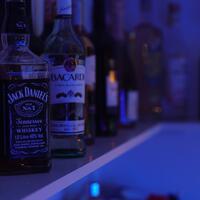 Müzik & Eğlence Galerisi