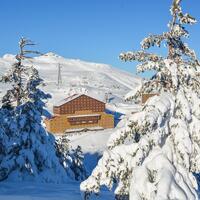 Genel Görünüm Galerisi