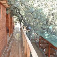 Genel Görünüm Galerisi